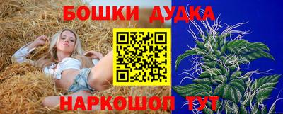 PSILOCYBIN Балашиха
