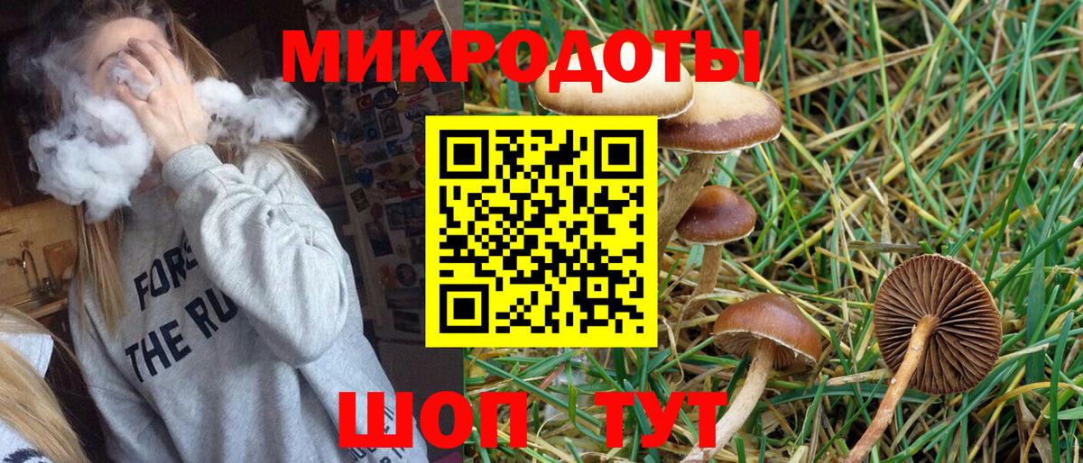 Псилоцибиновые грибы мухоморы  где продают   Гусев  Вход с VPN 